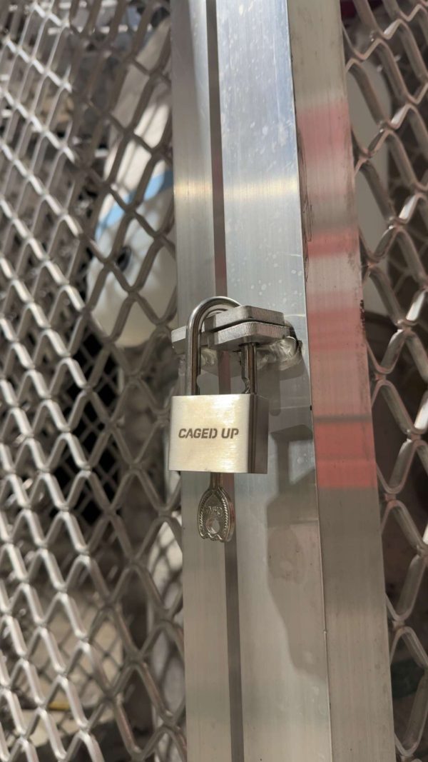 Padlock Cage Up